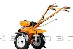 Motor-block Centaur 2080B + rotary tiller + hitch + plow