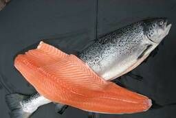 Norwegian Salmon wholesale