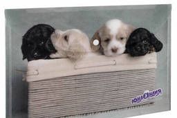Envelope folder with button Junlandia Puppies, A4, 160 microns, up to. ..