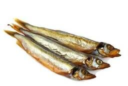 Smoked capelin fish