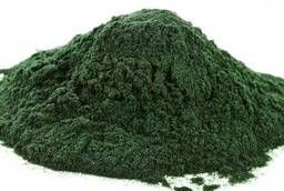 Spirulina powder wholesale