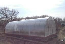 Greenhouse made of polycarbonate Dachnaya Premium Plus