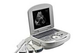 Veterinary black and white ultrasound scanner VT98c (AcuVista, China)