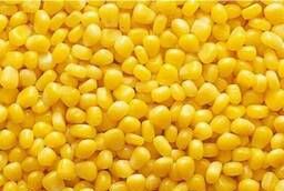 Frozen corn, grain