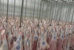 Lamb, pork, beef, poultry meat wholesale