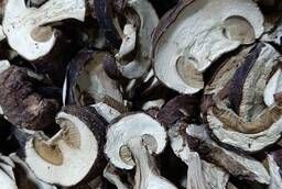 Белый гриб сушеный Экстра сорт