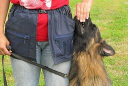 Dog22 Trainer skirt bag
