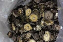 Dried Shiitake mushrooms