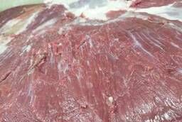 ООО  Сантарин, закпает мясо блочное говядину