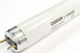 Лампа люминесцентная Osram