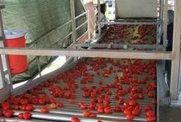Линия по переработке томатов