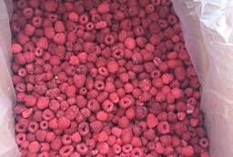 Escra raspberry frozen