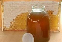 Bashkir mountain honey