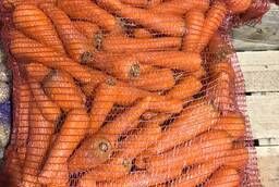 Морковь мытая