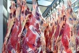 Мясо говядина оптом в полутушах 240 р/кг