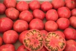 Pink tomatoes wholesale