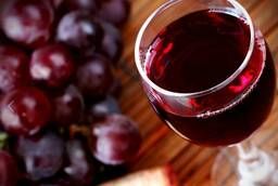 Northern red Saperavi wine grape