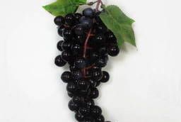 Виноград черный муляж, FR004