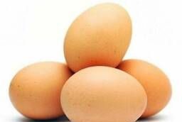 Яйцо куриное (С2, С1, СО, СВ, Диетическое, Деревенское)