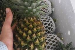 Ананас свежий оптом. Pineapple fresh ( Экспортер Vietnam )