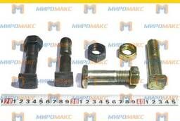 Bolt  nut lateral tooth - 291700197014013000020
