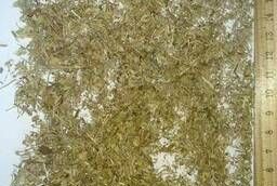 Чабрец армянский сушеный высокогорный резаный 3-7мм