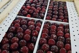 Cherry wholesale harvest 2020. , from the supplier with delivery