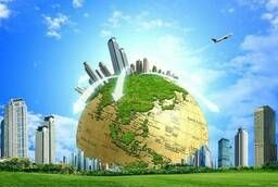 Declaration of Environmental Impact