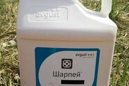 Sharpey insecticide, ME (250 g  l) - can. 5 liters each. Cypermethrin