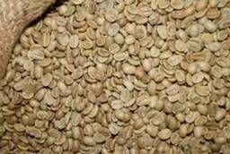 Green coffee from the supplier in bags