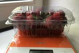 Container (tray) for vegetables, fruits, berries