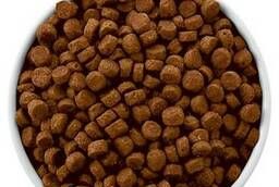 Food for dogs. Extruded, dry. Wholesale