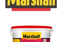 Marshall Maestro Facade Acrylic paint w  d