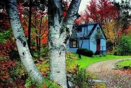Обогреватель-картина Дом в лесу Англии