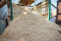 Needle sawdust (small and shavings)