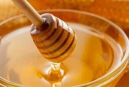 Продам мед липовый оптом