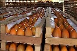 We sell persimmon wholesale Korolek