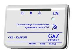 Система контроля загазованности СКЗ Карбон-2 ДН15 (СО СН4)