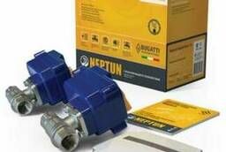 Neptun Bugatti Base leakage protection system