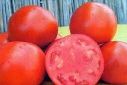 Скиф F1 1000 сем томат для свежего рынка