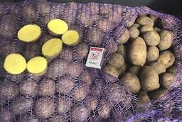 СПК «Ана Бене» поставляет картофель урожая 2020 г сортов