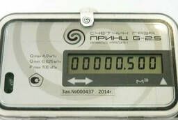 Ultrasonic gas meter Prince G2, 5