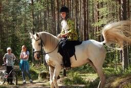 Верховая езда для взрослых и детей в Вырице