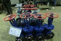Steel gate valve 100x250 30ls41nzh HL with coffee box