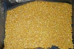 Frozen corn grain (India)