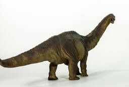 Апатозавр, игровая коллекционная фигурка Динозавр Papo, артикул 55039