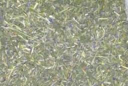 Астрагал перепончатый трава, цвет оптом (см. описание)