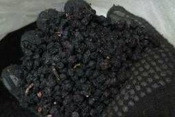 Bilberry (fruit) whole , dried (order conditions in the description)