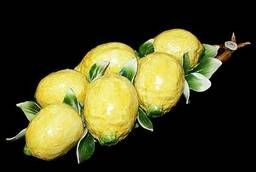 Декоративная веточка Лимоны
