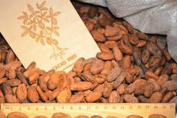 Какао-бобы, сорт Форастеро (Страна Гана)